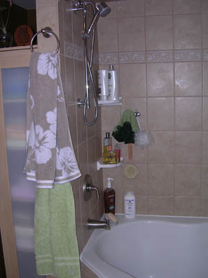 Tub - Shower 1.jpg